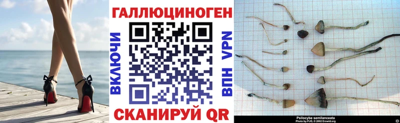 Псилоцибиновые грибы прущие грибы  купить наркотики цена  Павловский Посад 